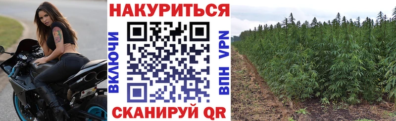 Где купить наркоту Чегем СОЛЬ  Меф  ГАШИШ  Конопля 