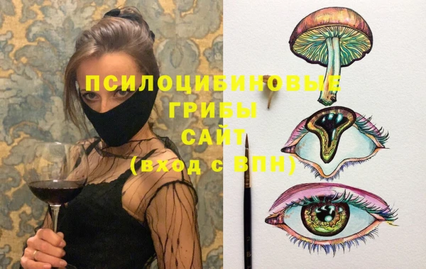 эйфоретик Абинск
