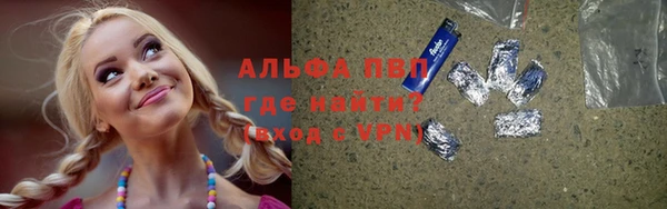 прущие грибы Абдулино
