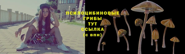 прущие грибы Абдулино