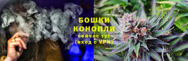 прущие грибы Абдулино