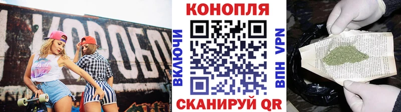 Бошки Шишки ГИДРОПОН  дарнет шоп  Чегем 